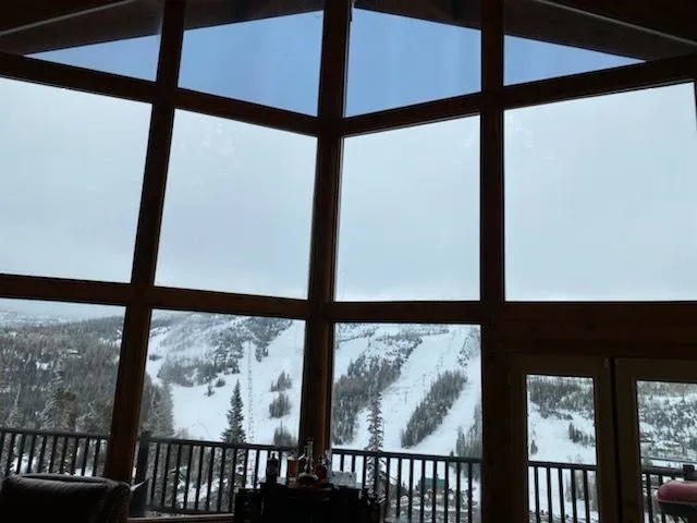 Brian Head cabin windows with three types of window film